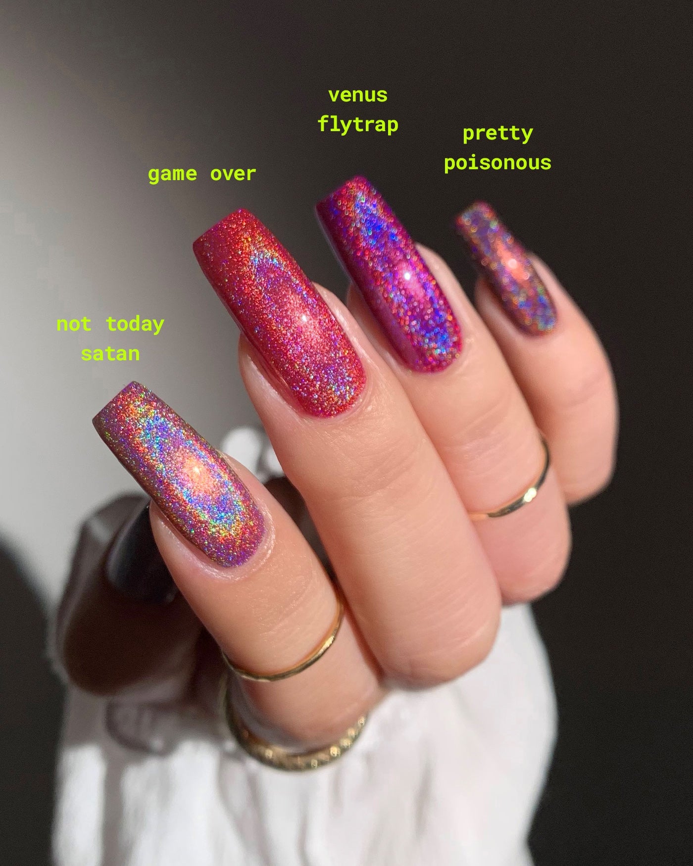 Venus Flytrap